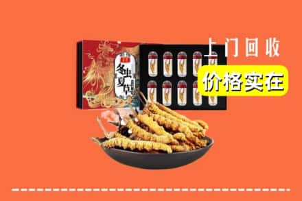 内江市隆昌回收冬虫夏草